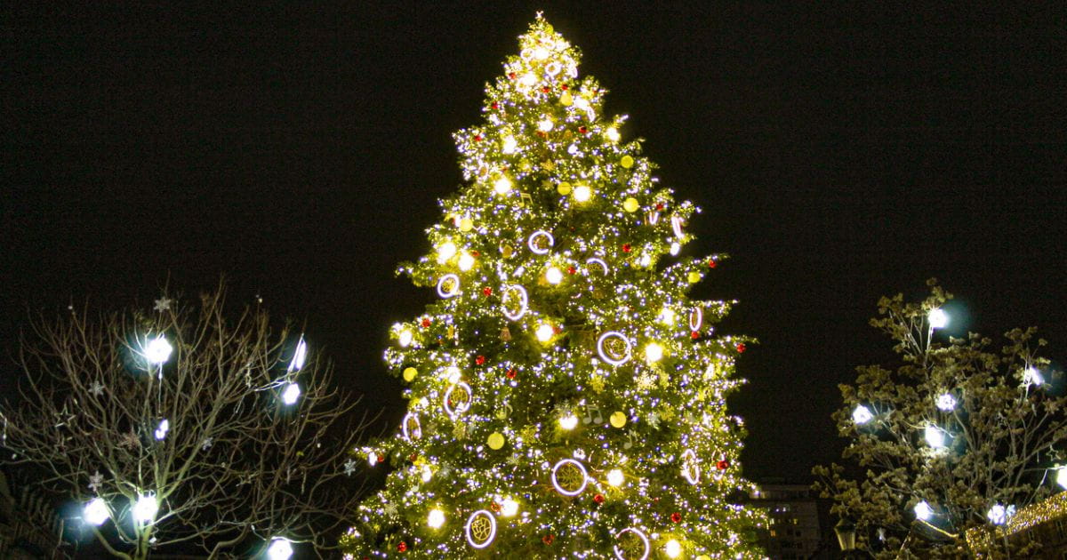 Christmas tree in a town stock image