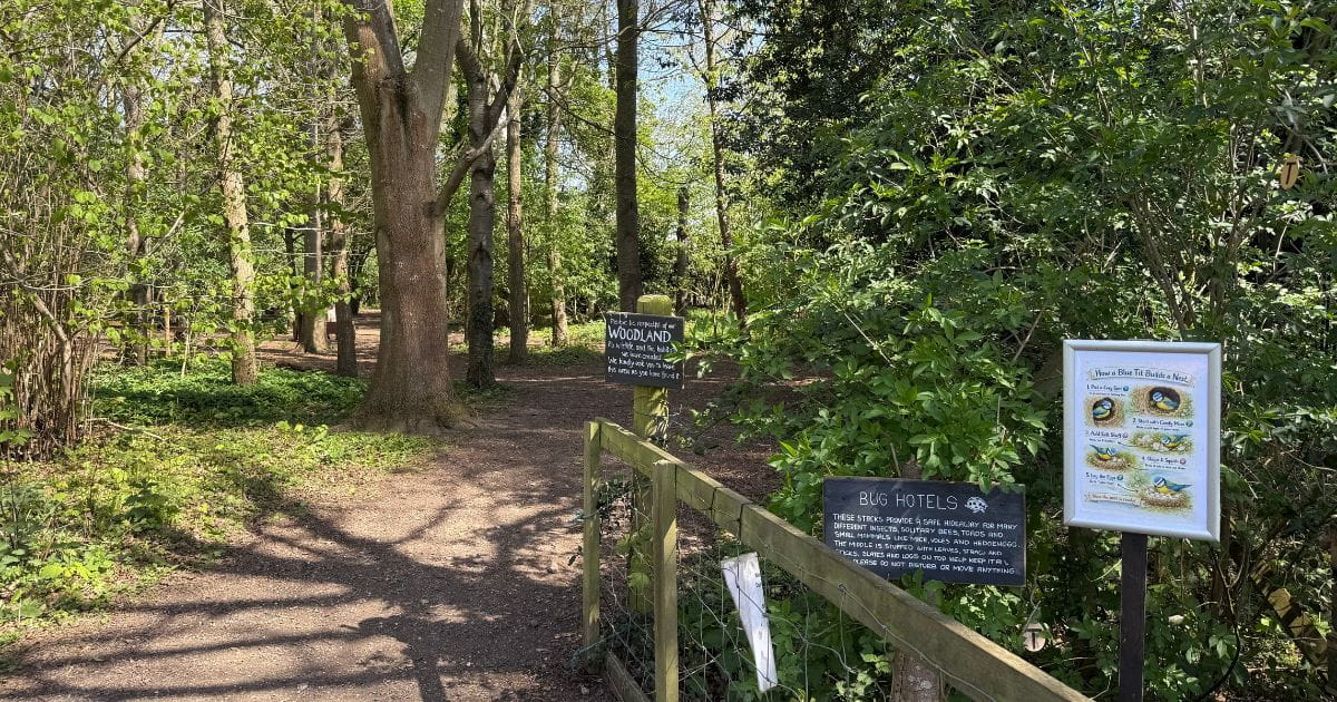 Woodland walk at Jordans Mill Biggleswade