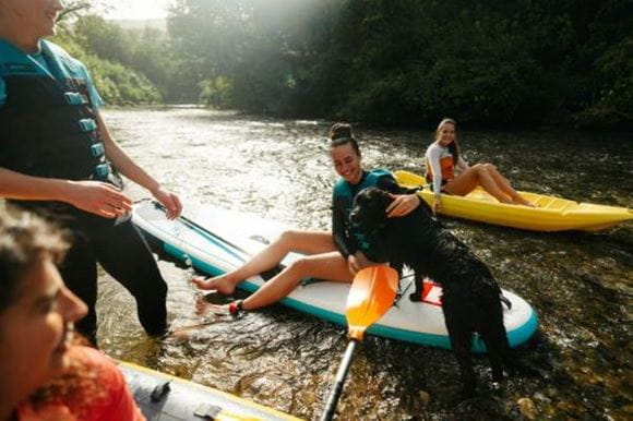 A group of people in a river with paddleboards and a dog
