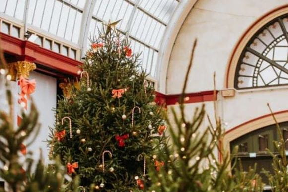 Festive events on the Great Northern network blog hero