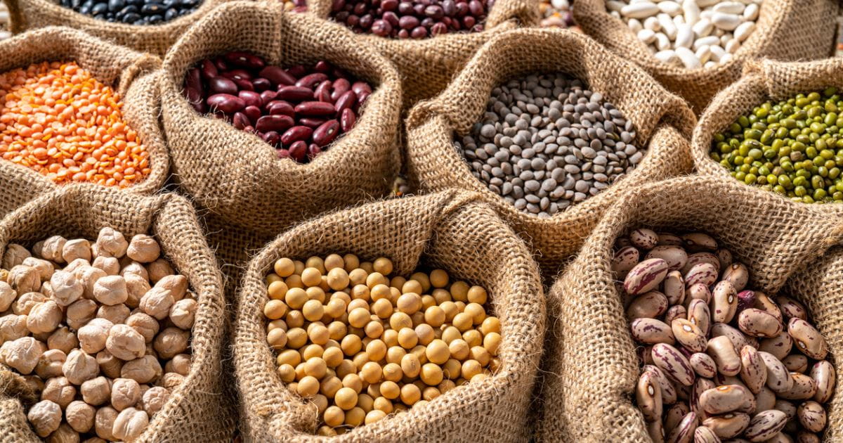 Hitchin vegan market