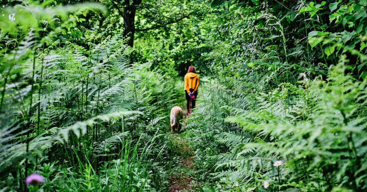 A woman walking in nature with a dog
