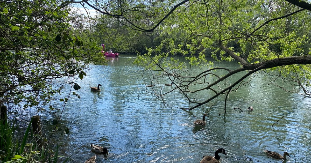 Stanborough Lakes Welwyn Garden City