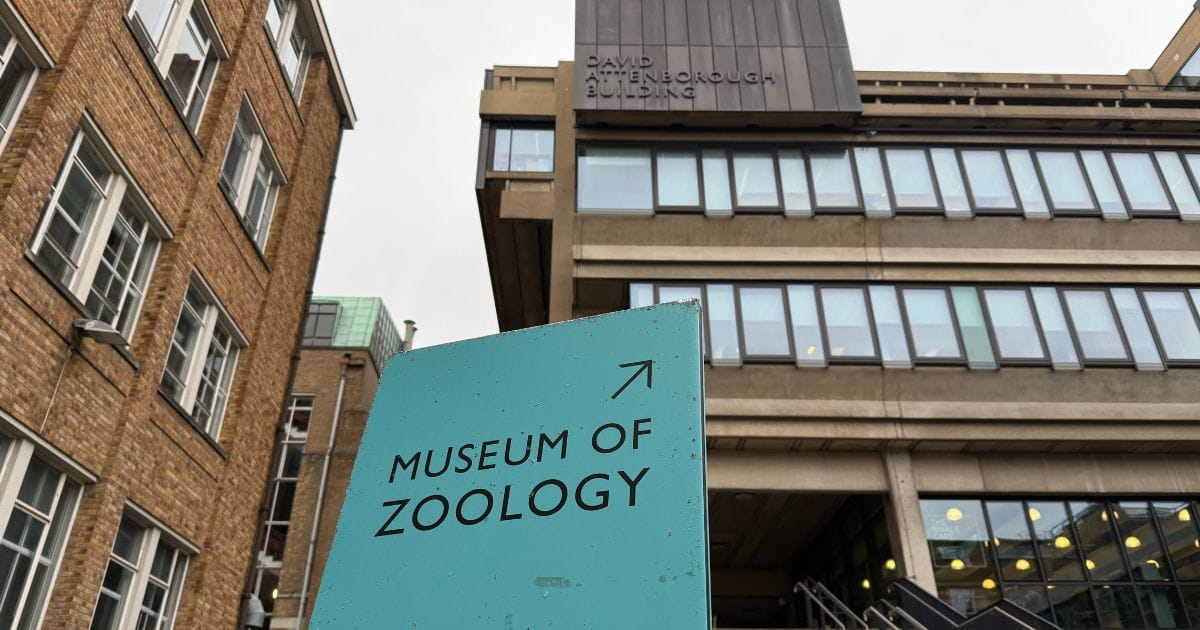 Museum of Zoology Cambridge