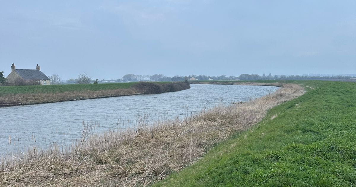Downham Market river Ouse Fenland walks