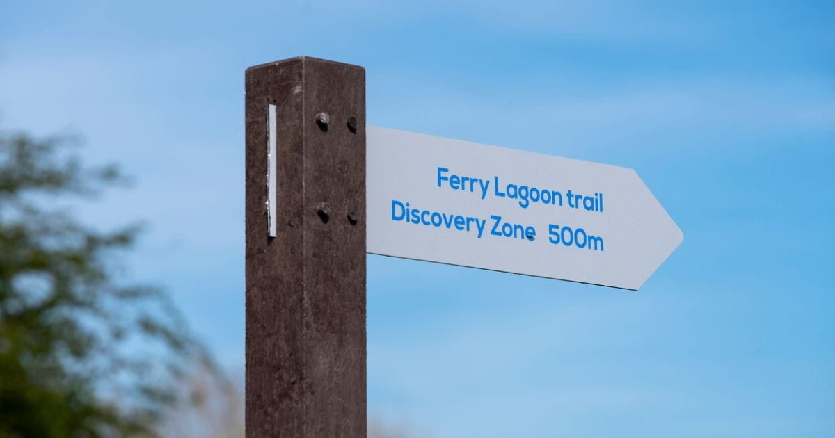 Nature walks near Cambridge at Fen Drayton Lakes Nature Reserve