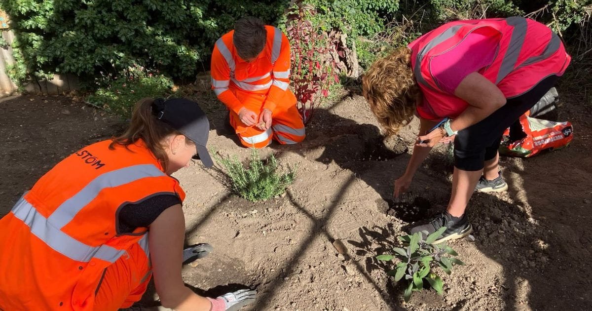 Volunteer gardening group planters in Meldreth