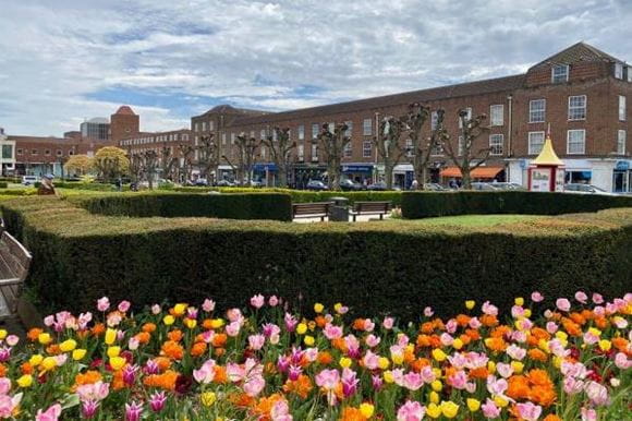 A photo of tulips and gardens in Welwyn Garden City's main square